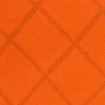 Bright Orange
